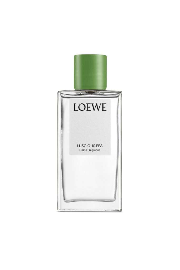 Loewe Home Scents FARADAYS