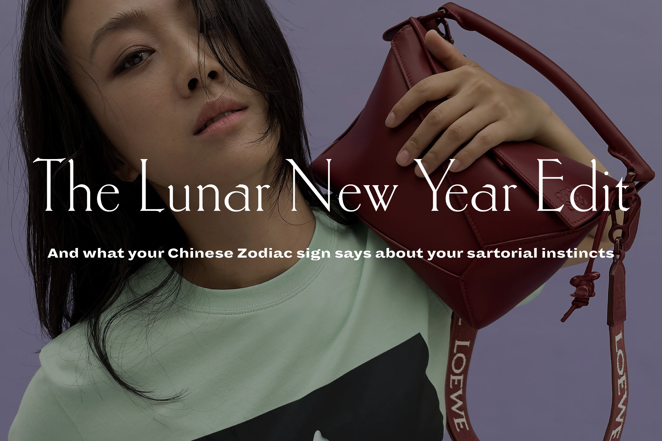 Lunar New Year - LOEWE